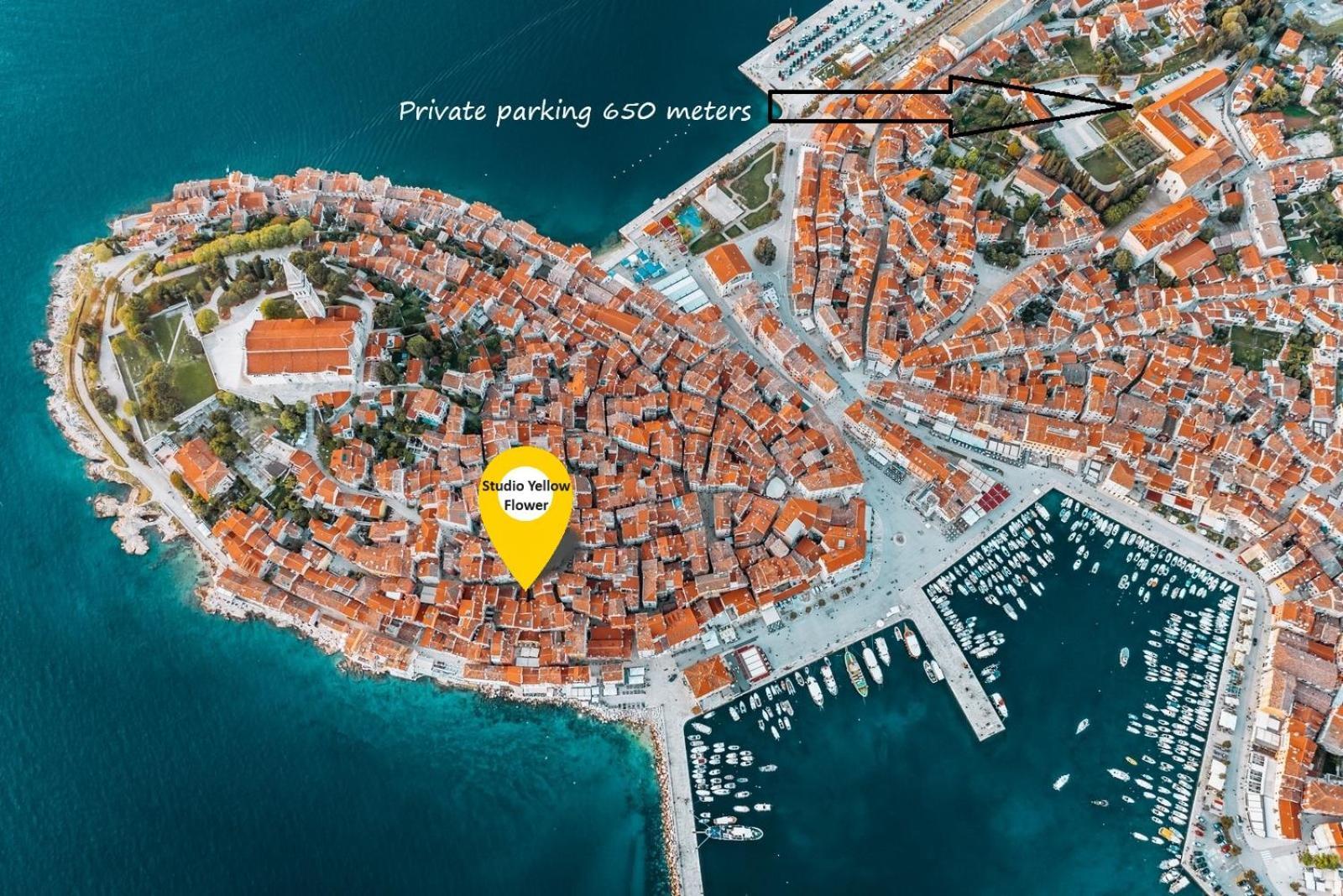 Studio Yellow Flower Rovinj Buitenkant foto