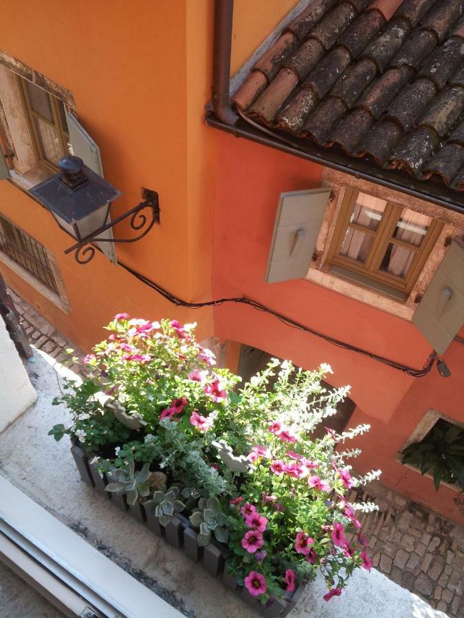 Studio Yellow Flower Rovinj Buitenkant foto